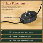 Pre-Lit Artificial Black Spruce Christmas Tree w/Easy Assembly