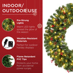 Pre-Lit Artificial Christmas Wreath w/Berries & Pinecones Lights